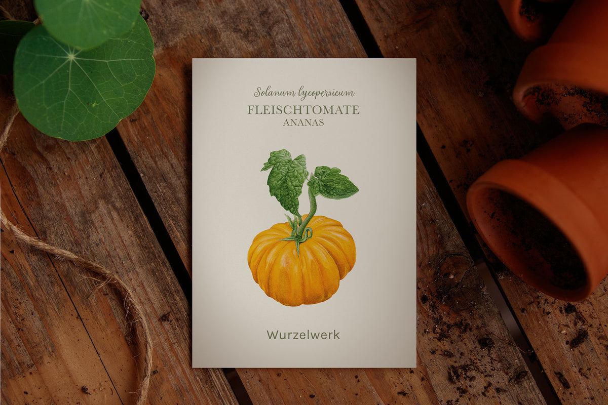 Fleischtomate 'Ananas'