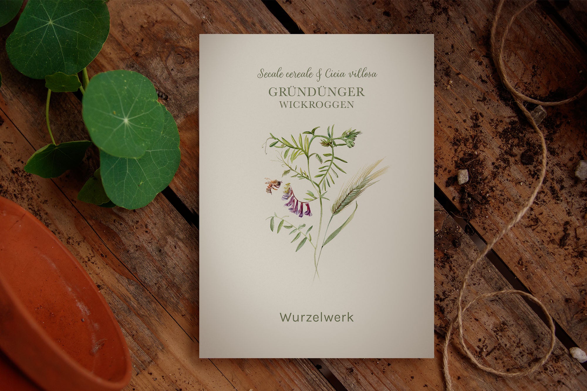 Gründünger ‘Wickroggen’