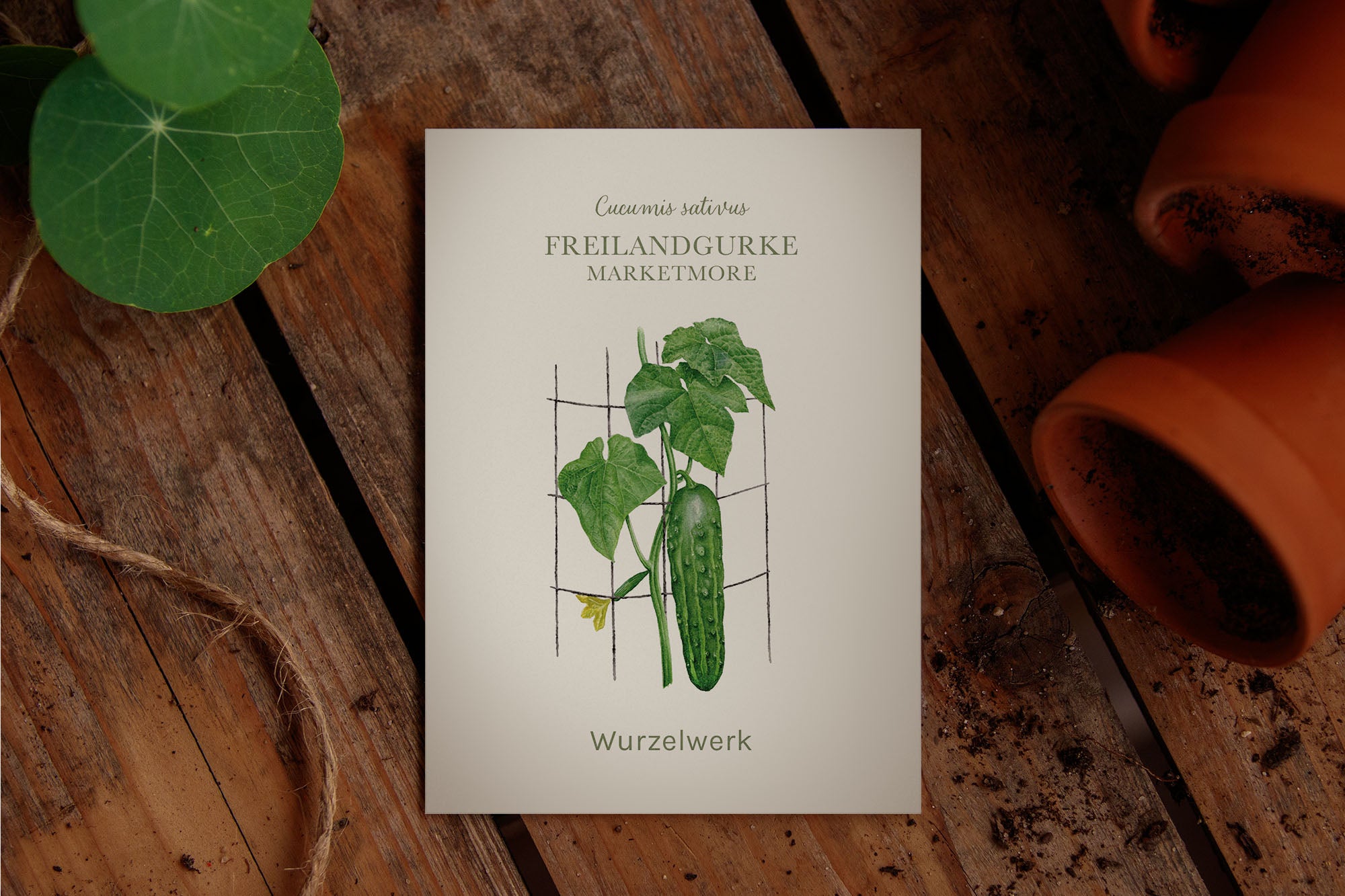 Saatguttütchen Gurke "Marketmore"