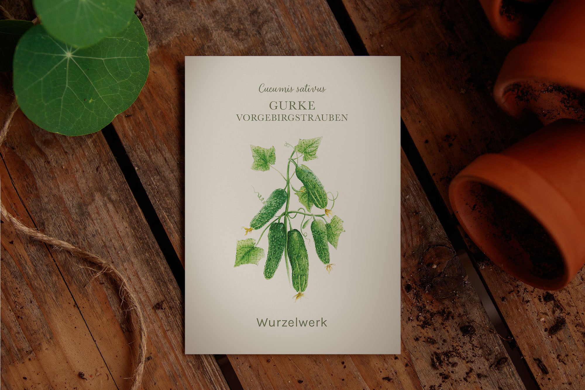 Saatguttütchen Gurke "Vorgebirgstrauben"