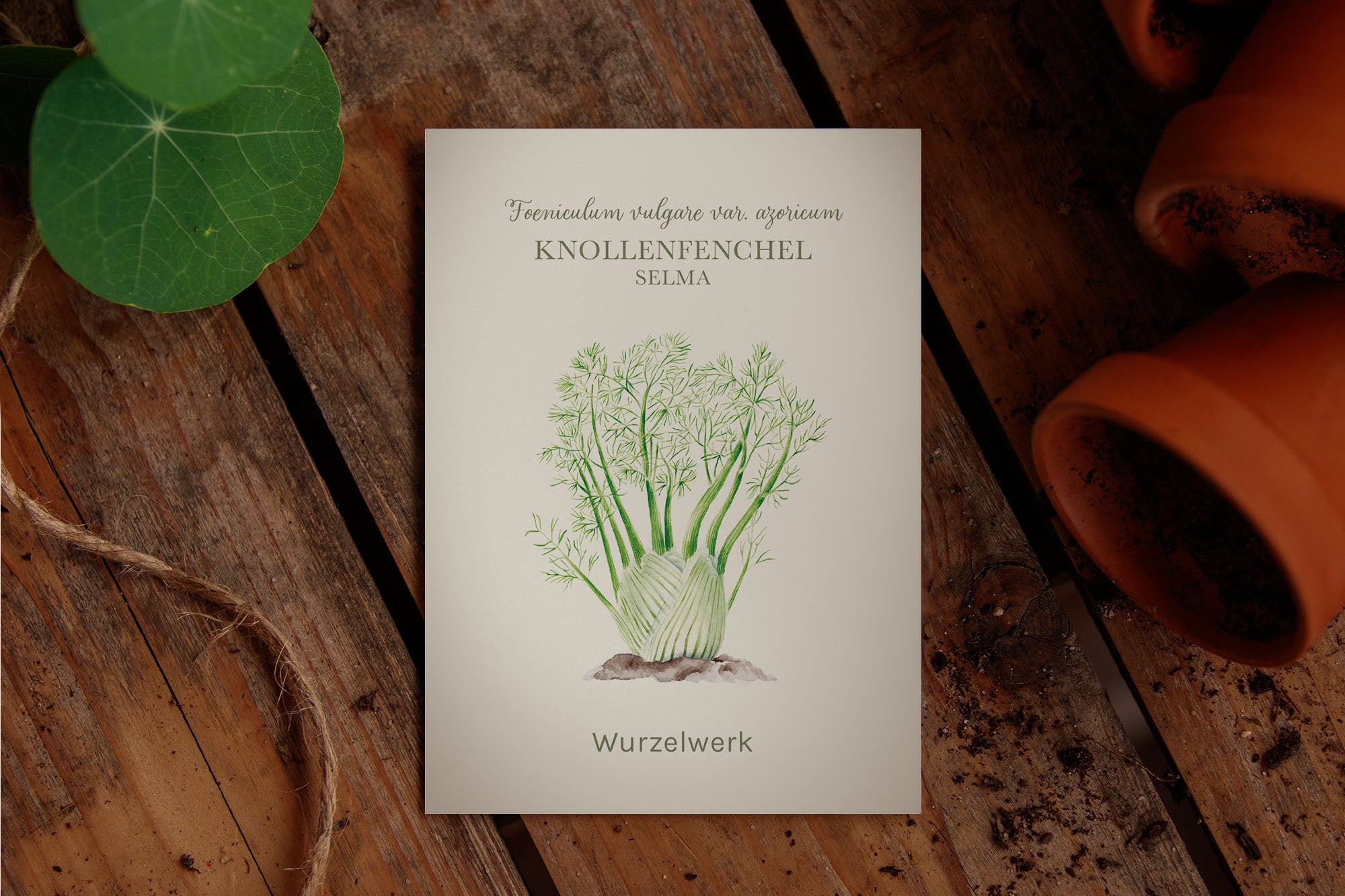 Saatguttütchen Fenchel "Selma"