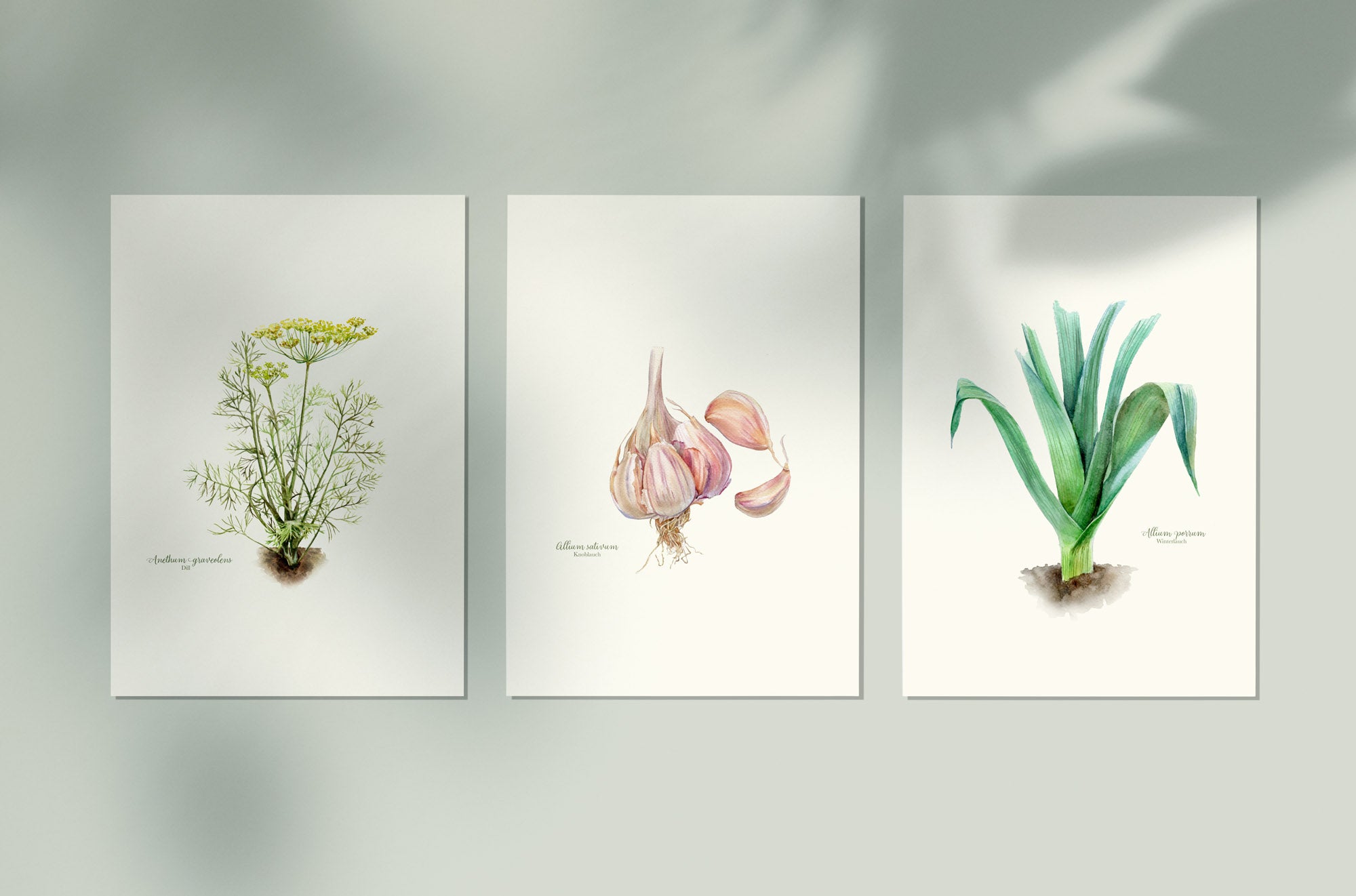 Poster Set 'Lauch, Dill & Knobi'