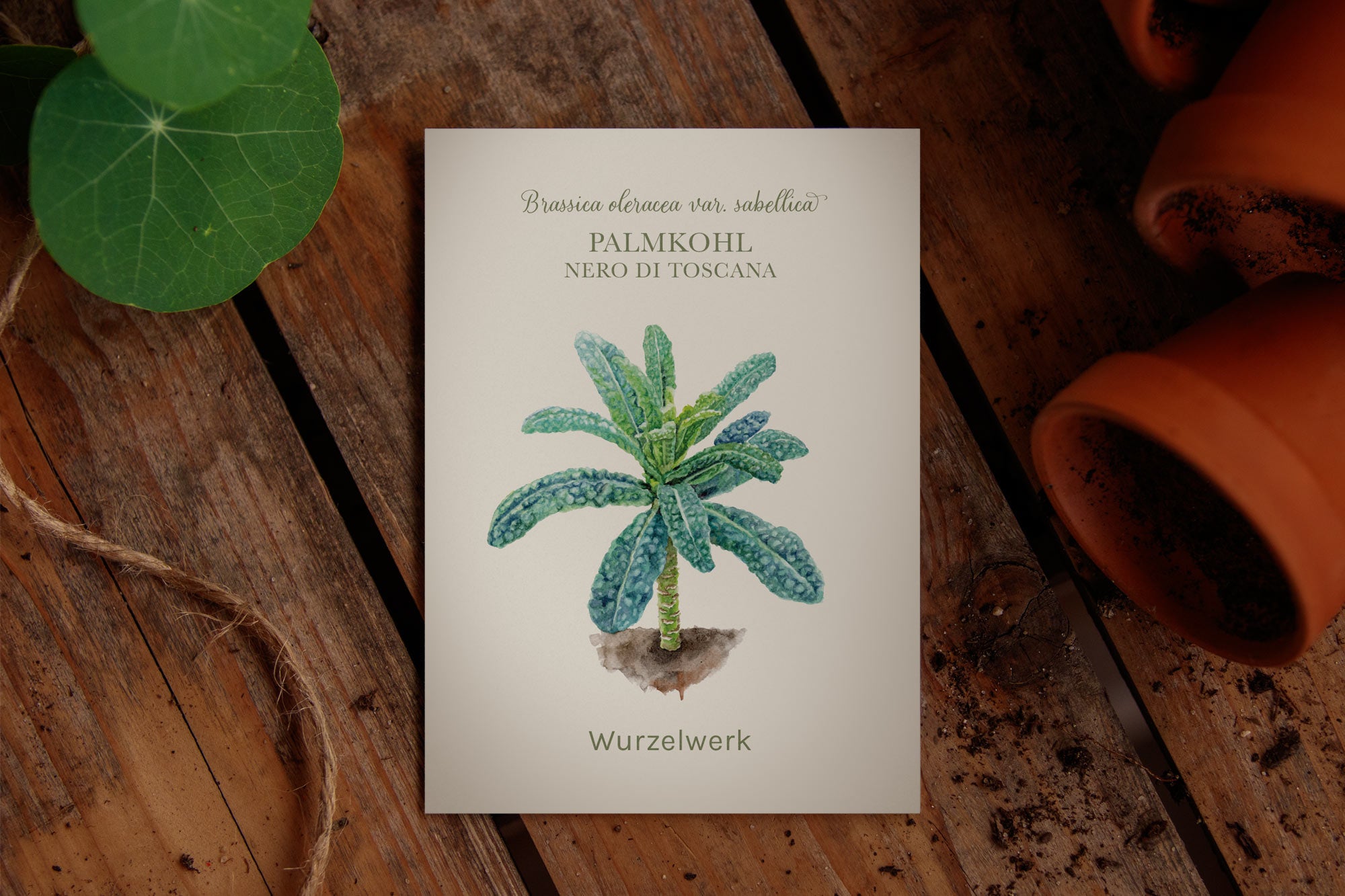 Saatguttütchen Palmkohl "Nero di Toscana"