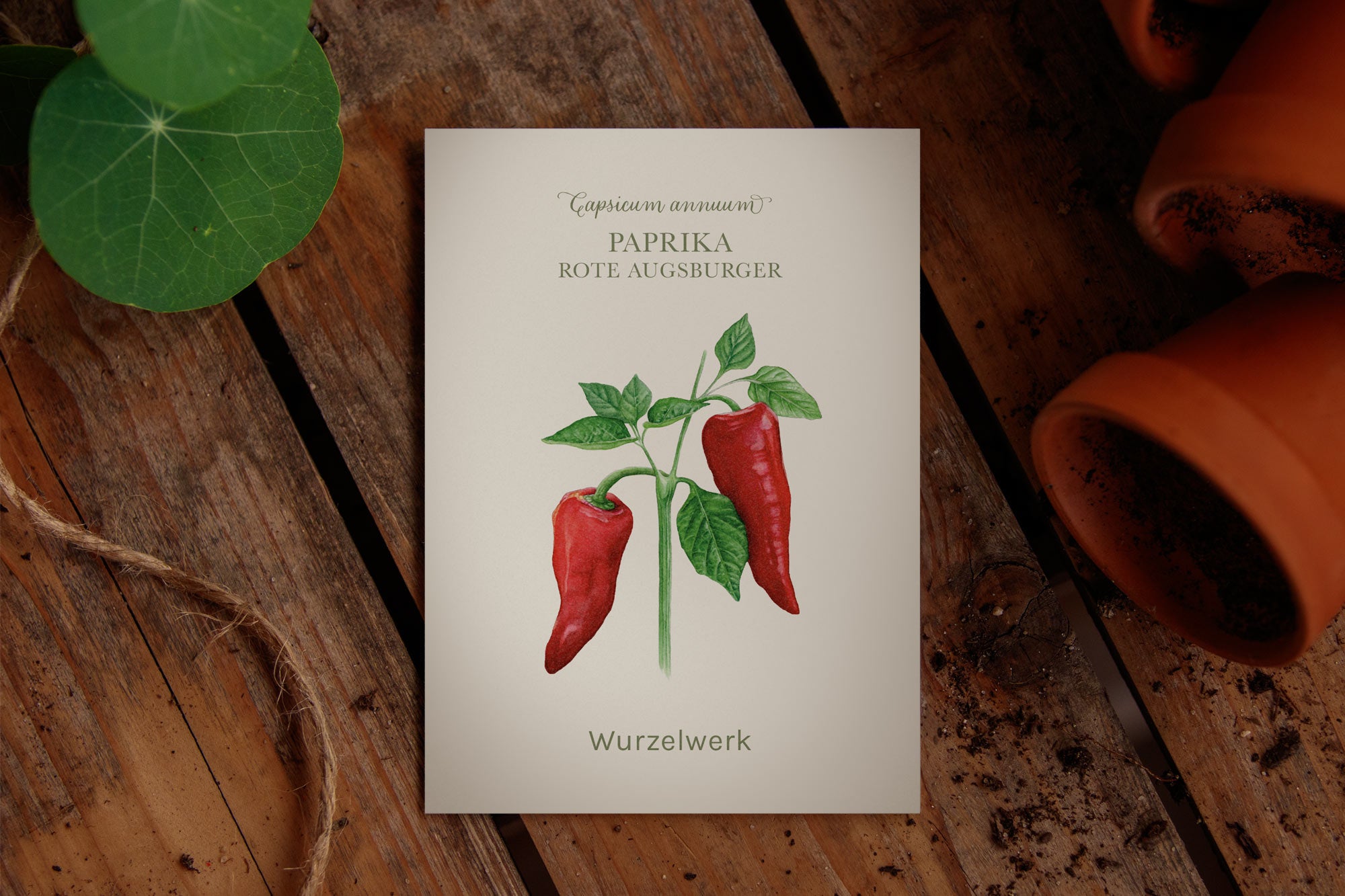 Saatguttütchen Paprika "Augsburger"