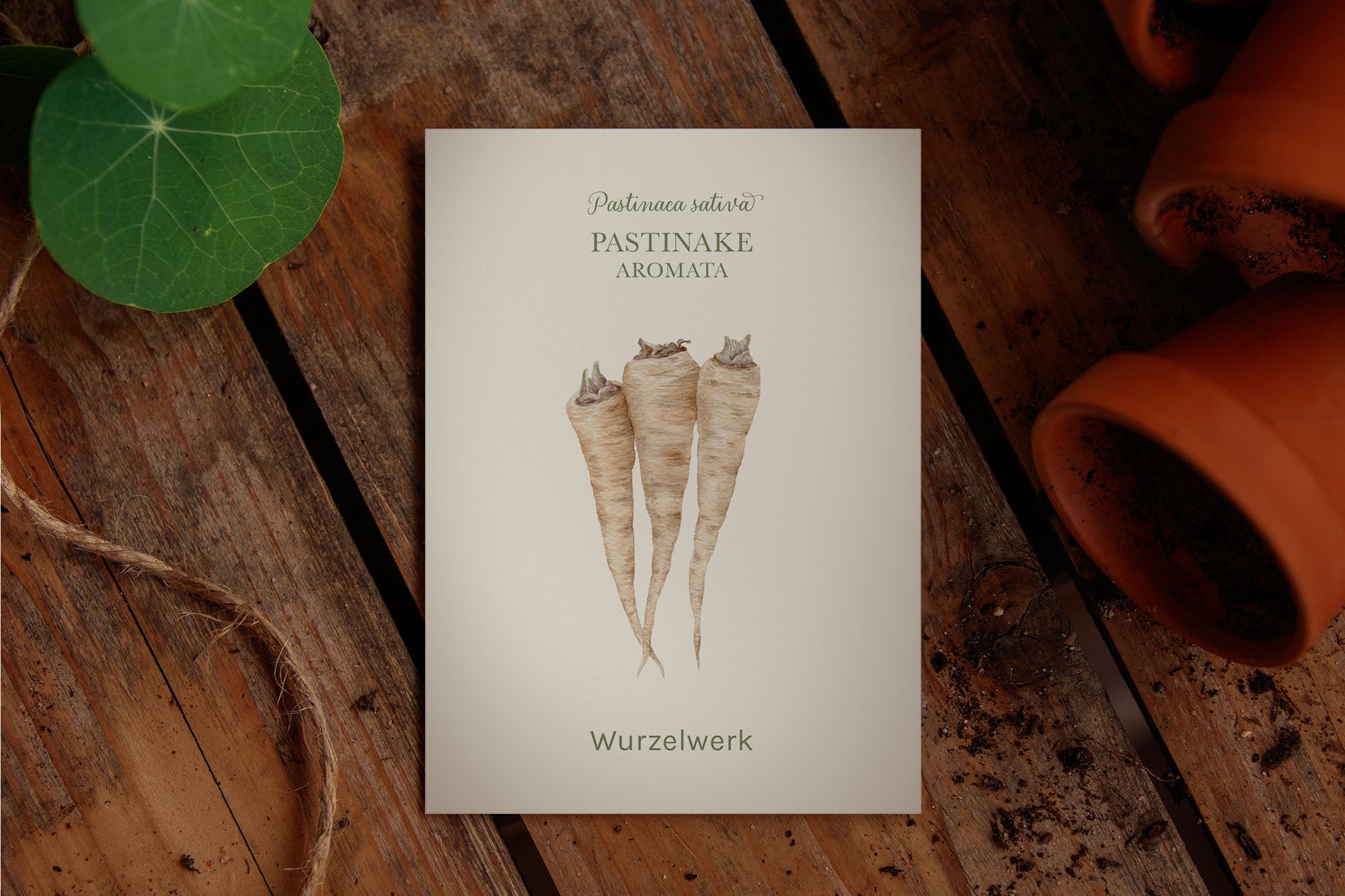 Saatguttütchen Pastinake "Aromata"