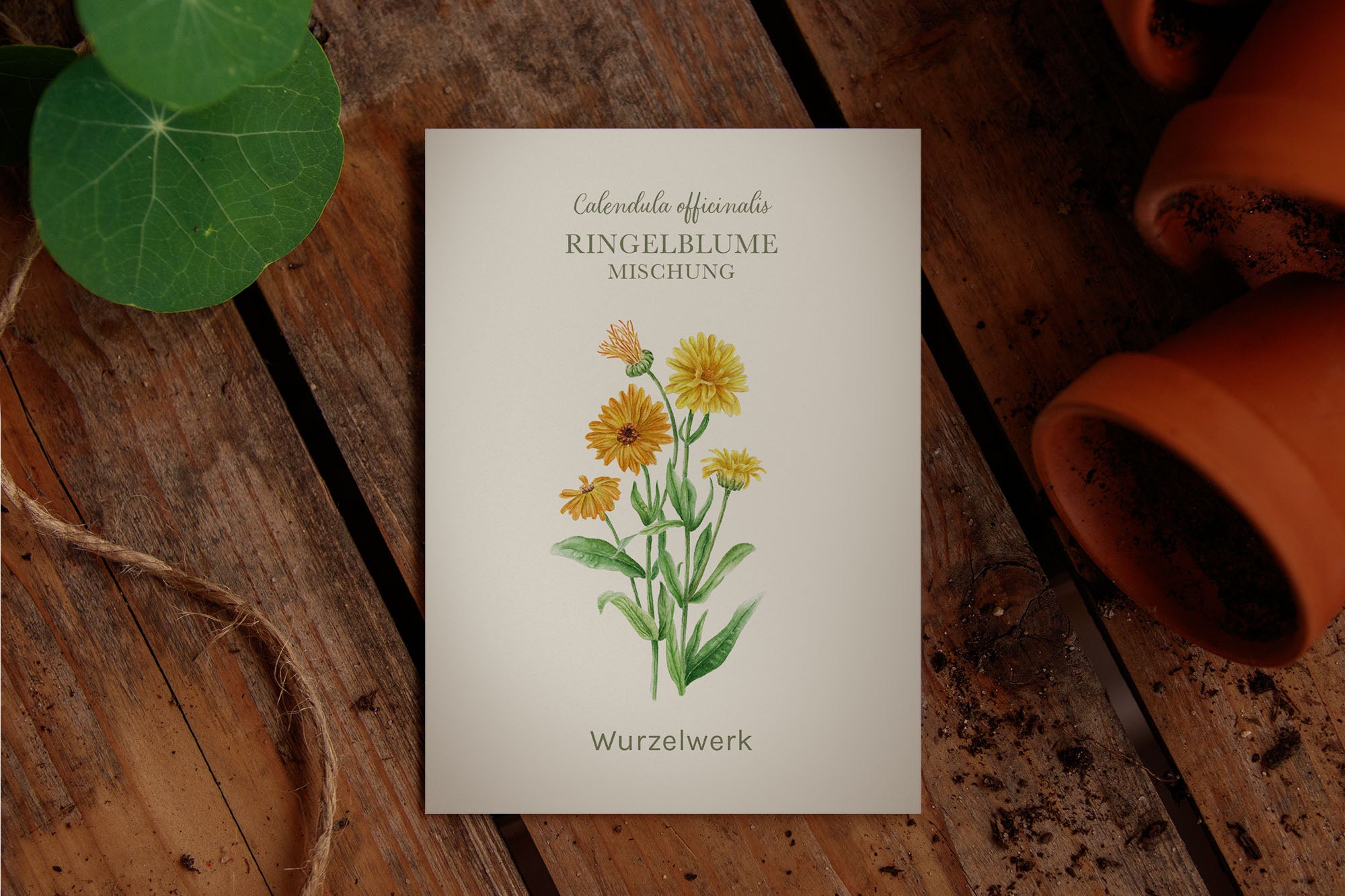 Saatgut Ringelblume "Mischung"