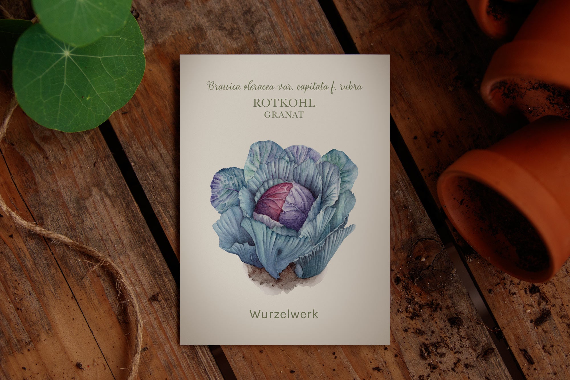 Saatguttütchen Rotkohl "Granat"