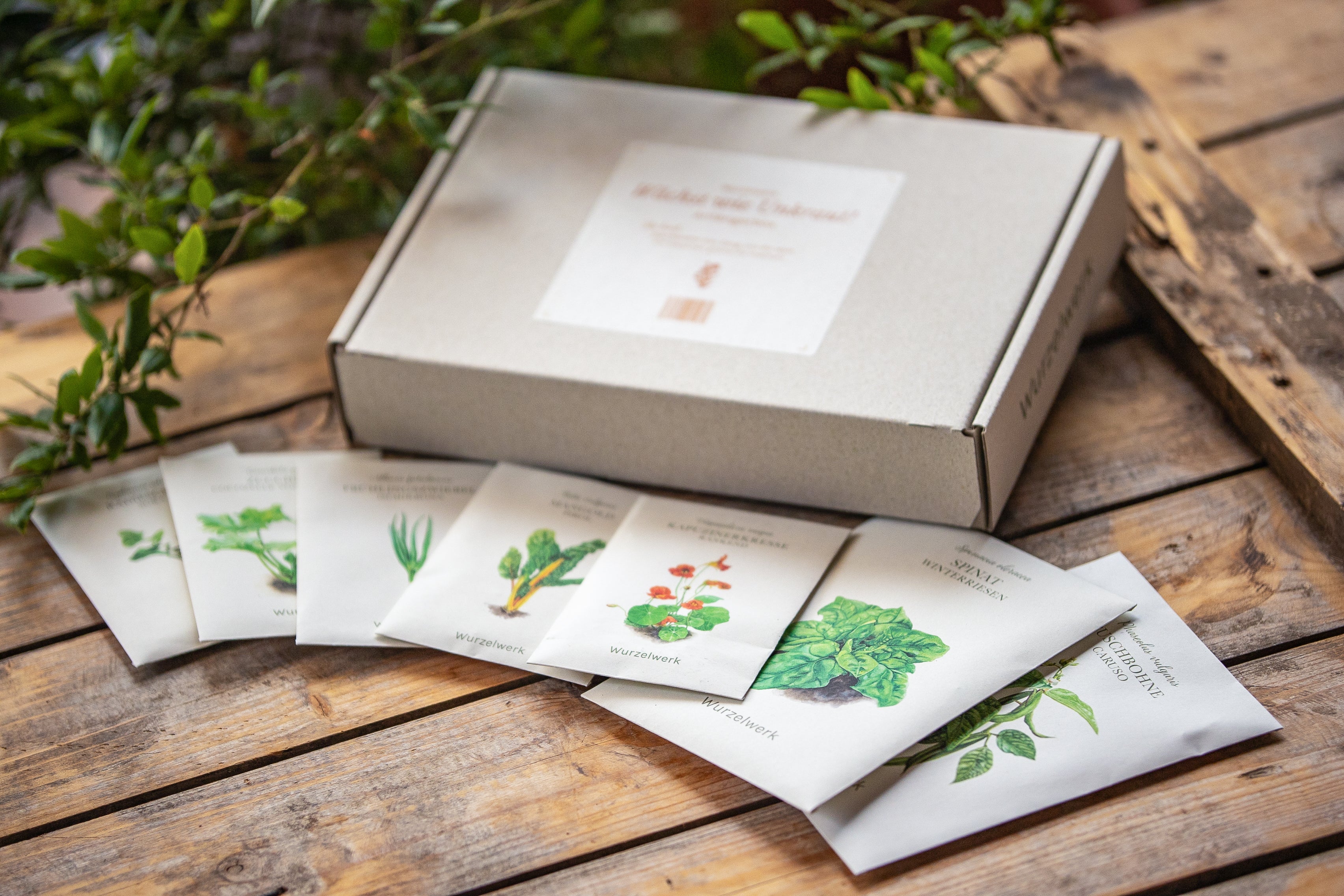 Saatgutbox mit dem Namen "Wächst wie Unkraut"