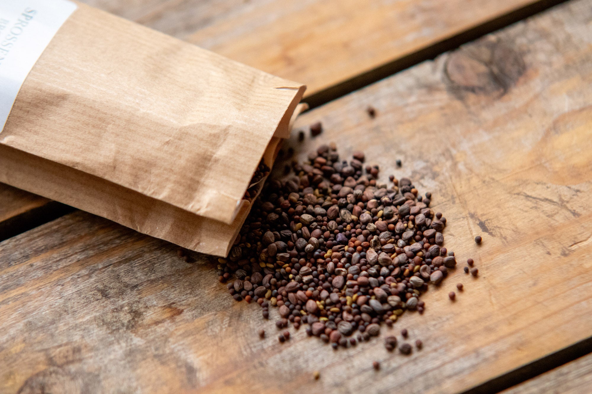 Sprossen "Brotzeit" auf Holztisch