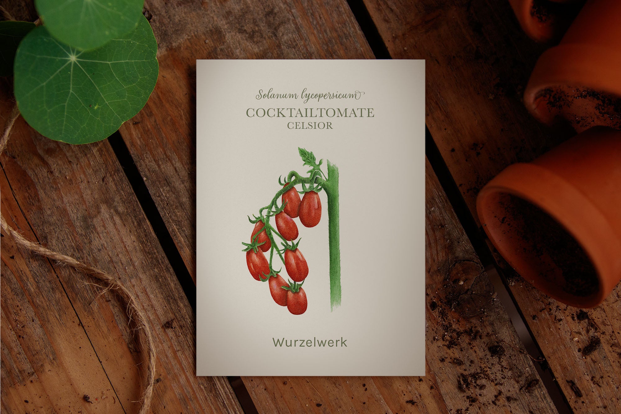 Saatguttütchen Cocktailtomate "Celsior"