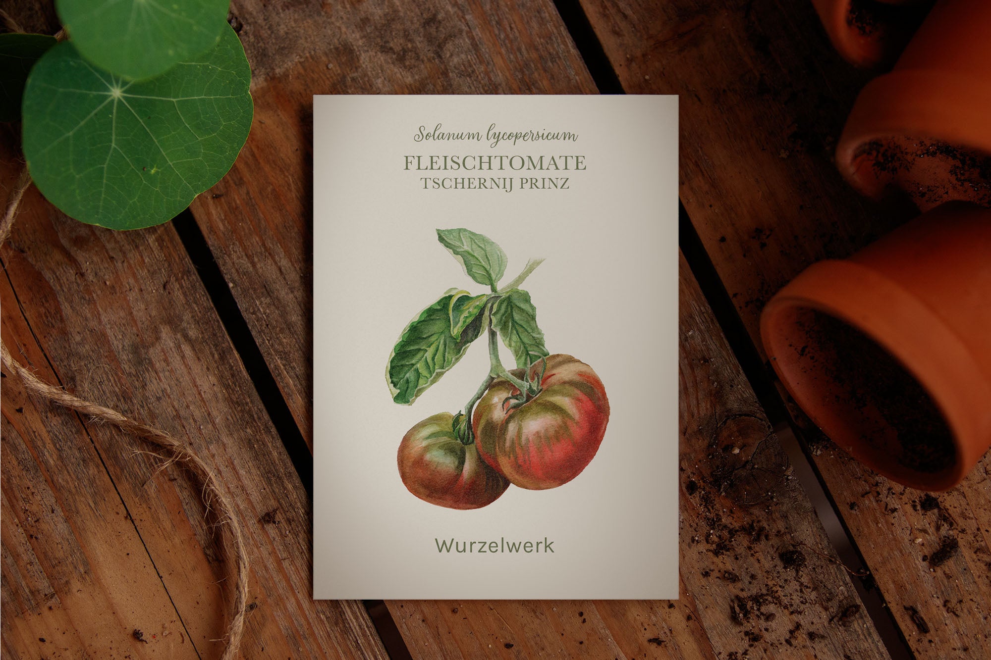 Saatguttütchen Tomate "Tschernij Prinz"