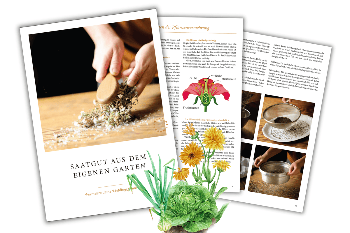 E-Book »Saatgut aus dem eigenen Garten«
