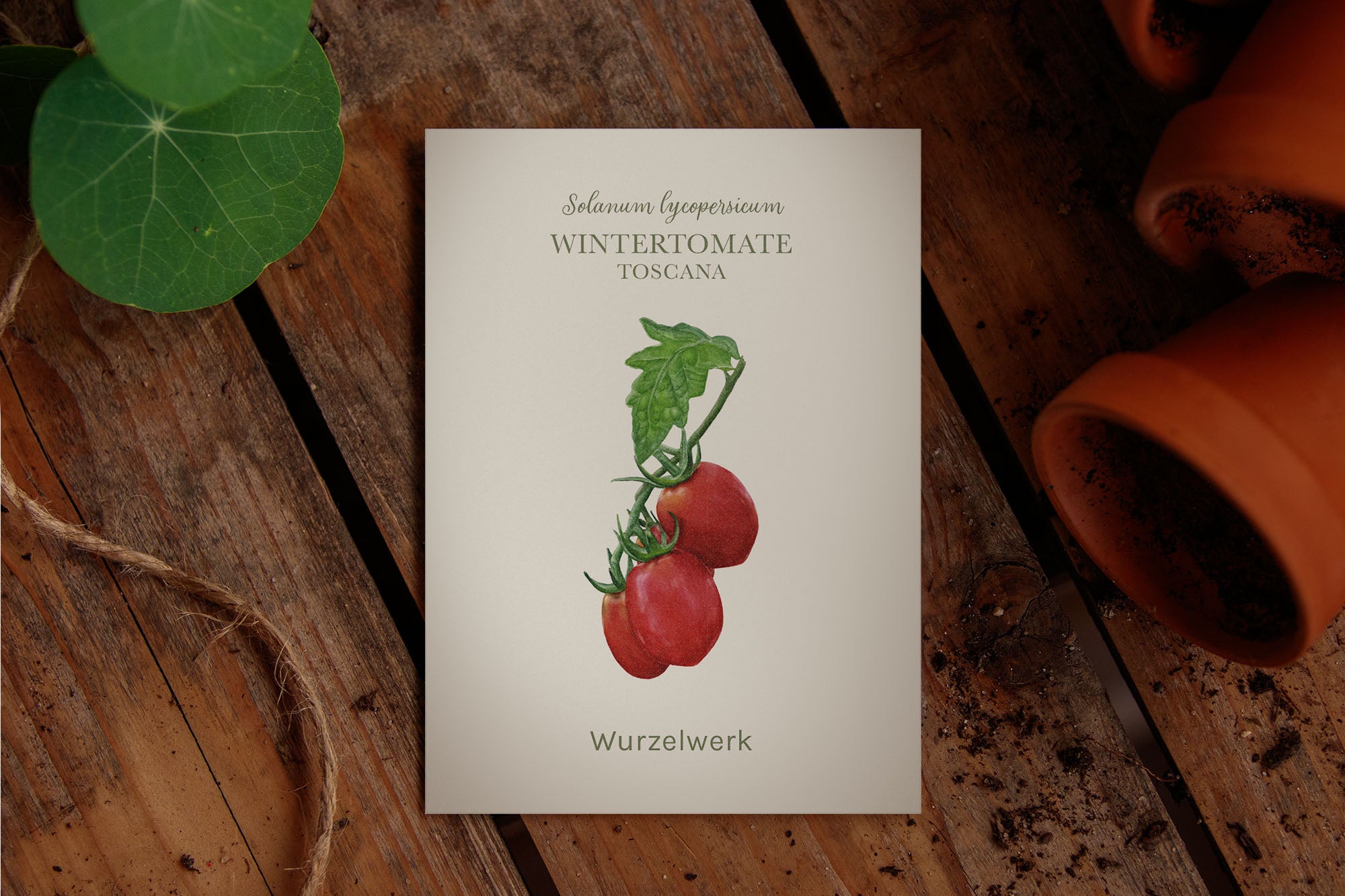 Saatguttütchen Wintertomate "Toscana"