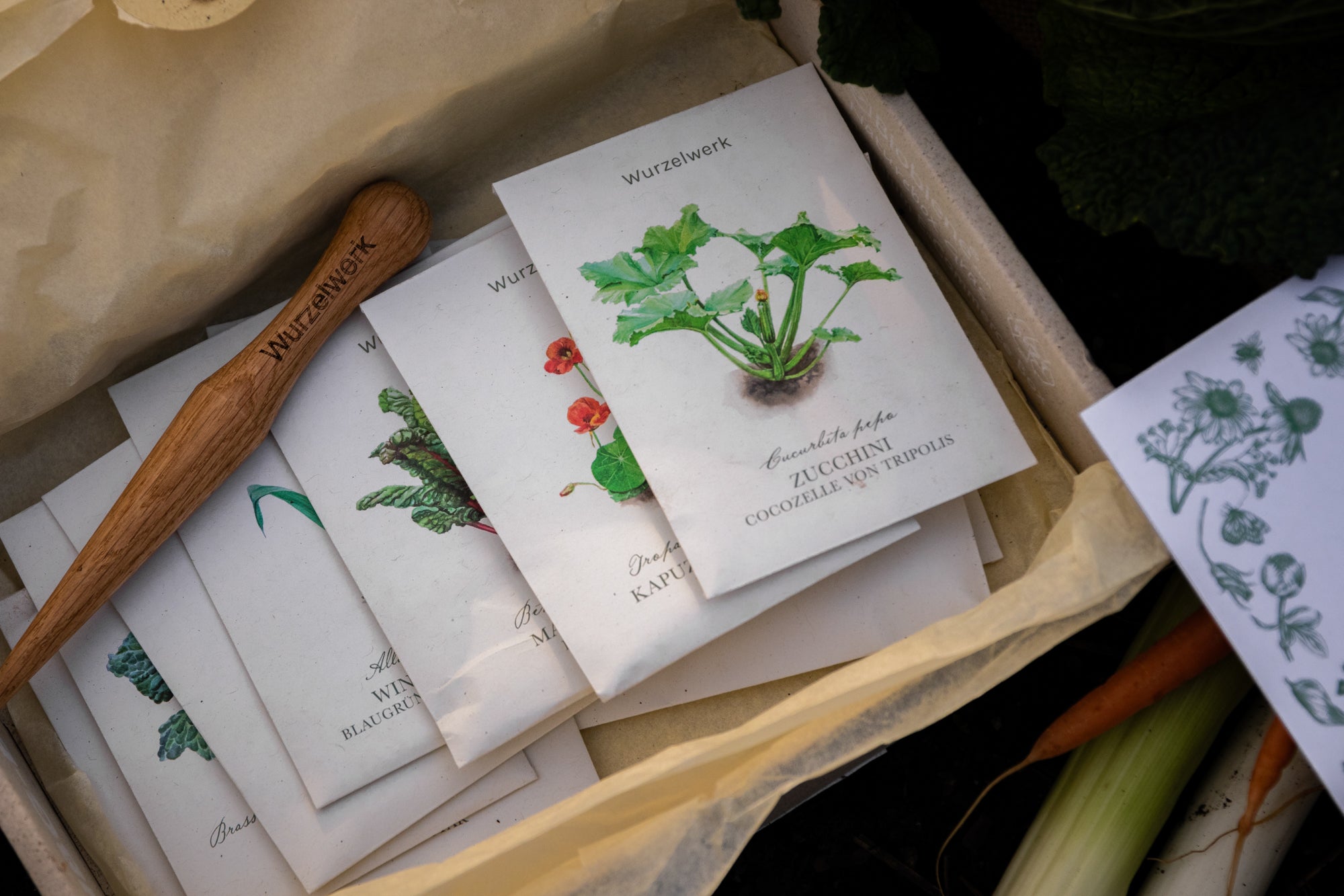 Saatgut-Abobox 'Gartengemüse'