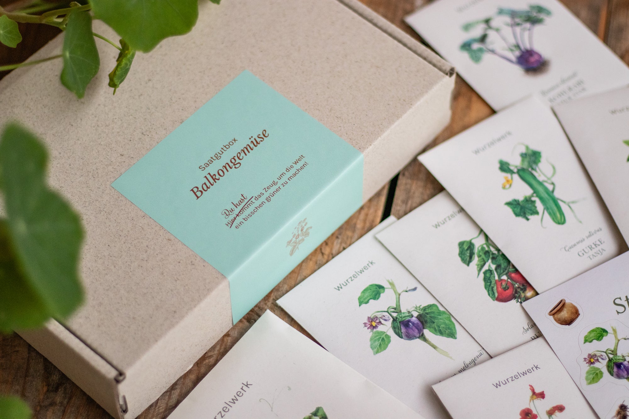Saatgut-Box ‘Balkongemüse’