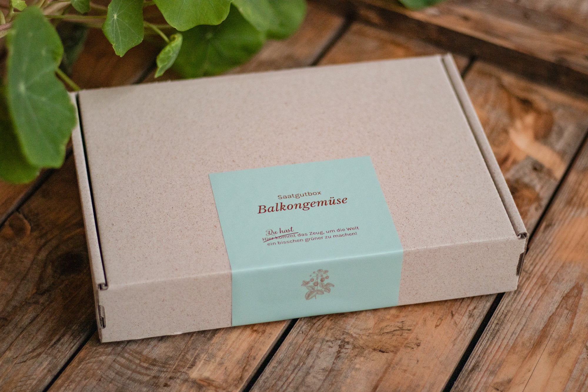 Saatgut-Box ‘Balkongemüse’