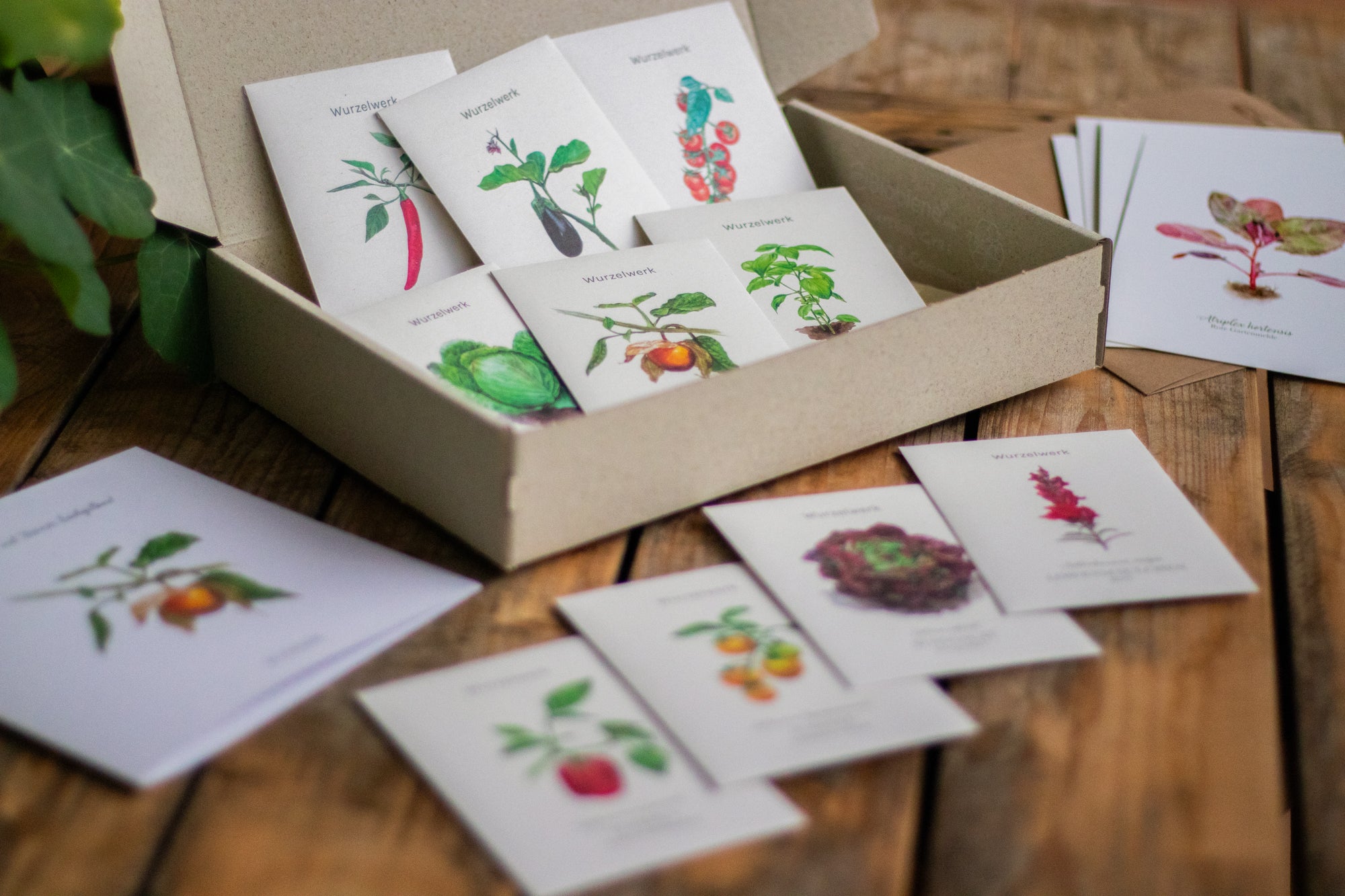 Saatgut-Abobox 'Gartengemüse'