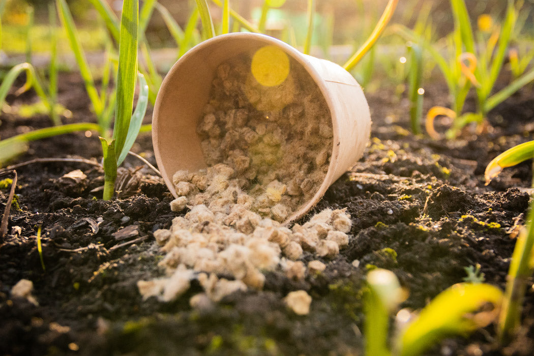 Langzeitdünger aus Schafwollpellets