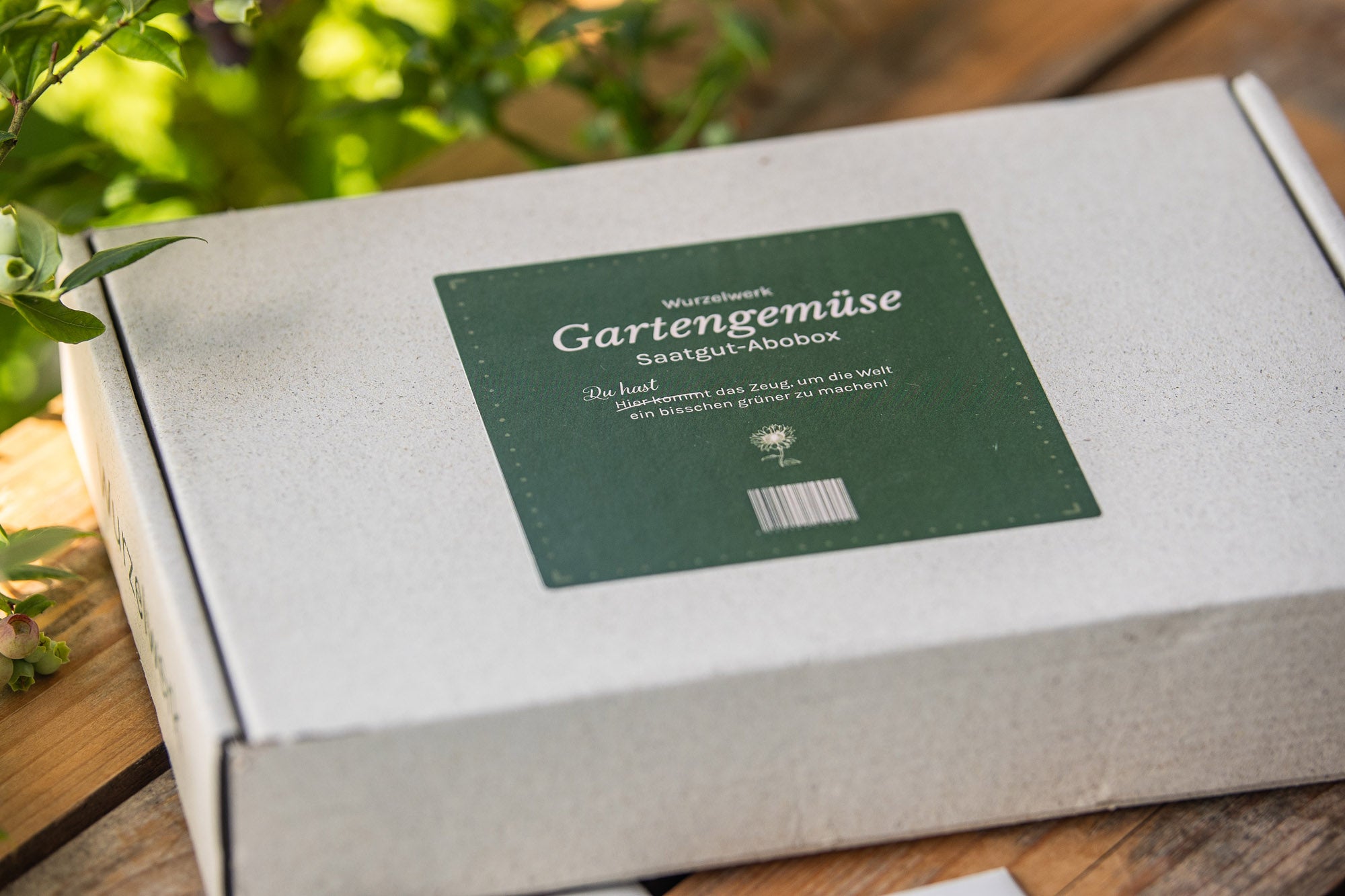 Saatgut-Abobox liegt auf deine Holztisch