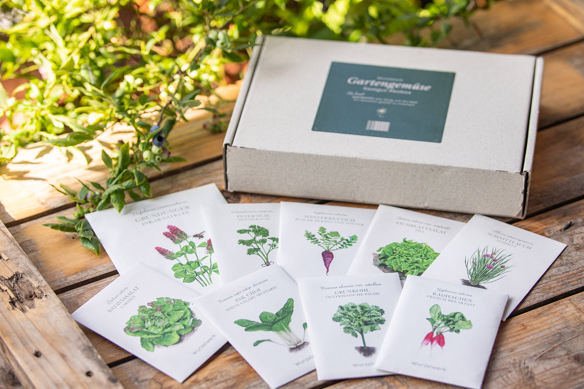 Saatguttütchen mit Saatgutbox liegen auf einem Holztisch