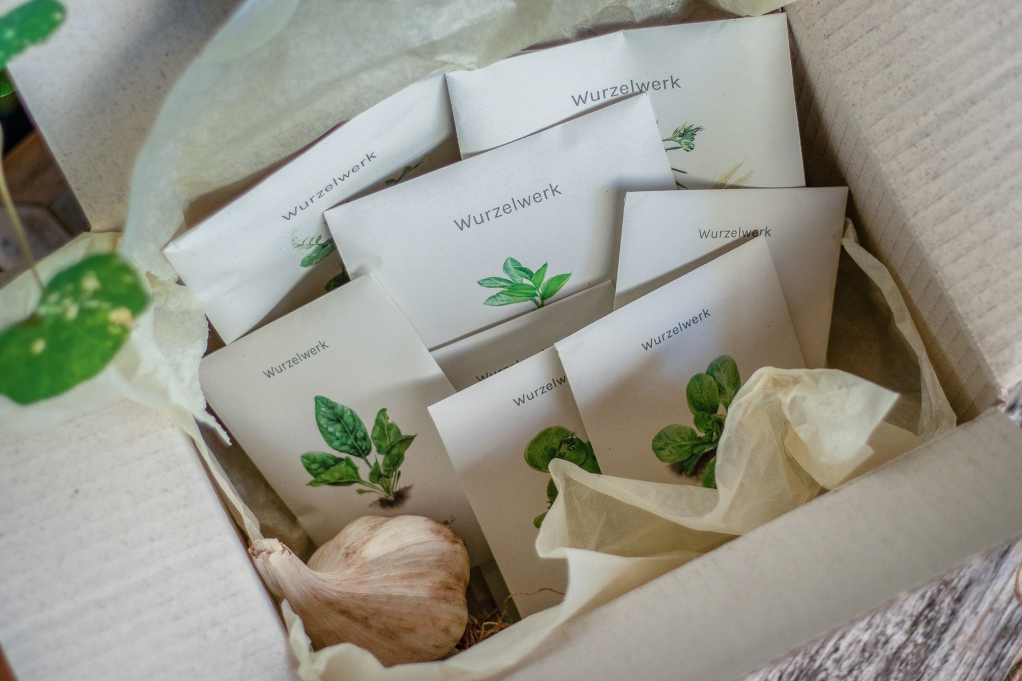 Saatgut-Abobox 'Gartengemüse'