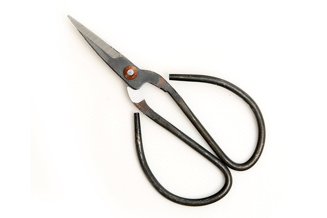 Bonsai Schere im Detail