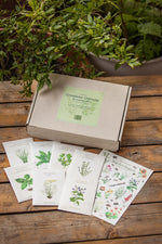 Saatgutbox "Grandioses Grünzeug" mit Saatgut und Stickerbogen