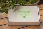 Saatgutbox "Grandioses Grünzeug"