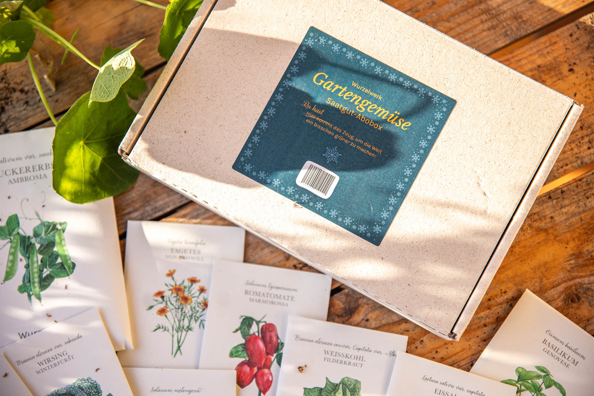 Saatgut-Abobox 'Gartengemüse'