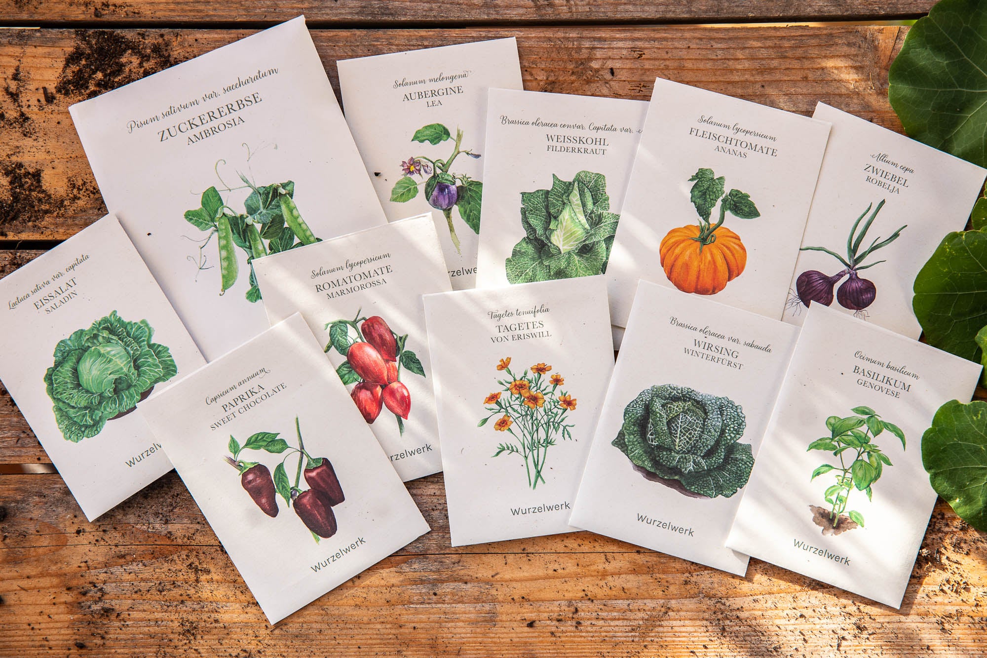 Saatgut-Abobox 'Gartengemüse'