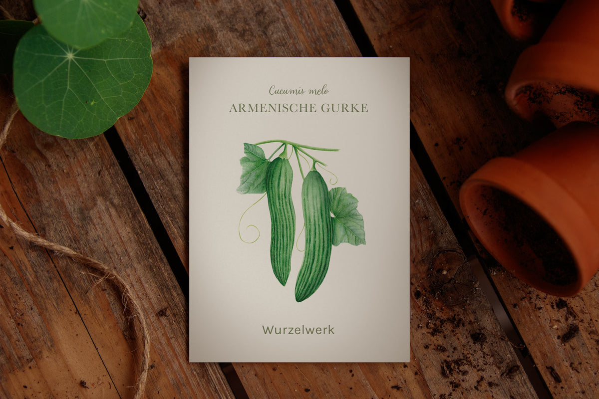 Armenische Gurke