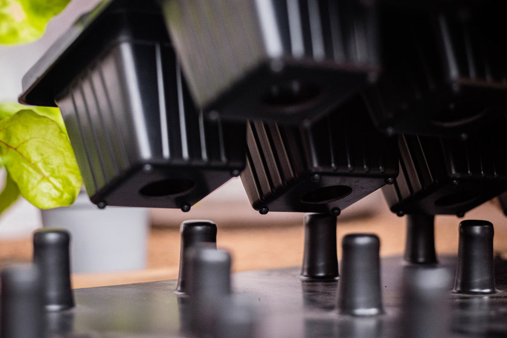 Aushebeplatte für QuickPot Anzuchtplatten