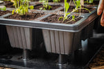 Grosse Aushebeplatte mit Quickpot im Detail