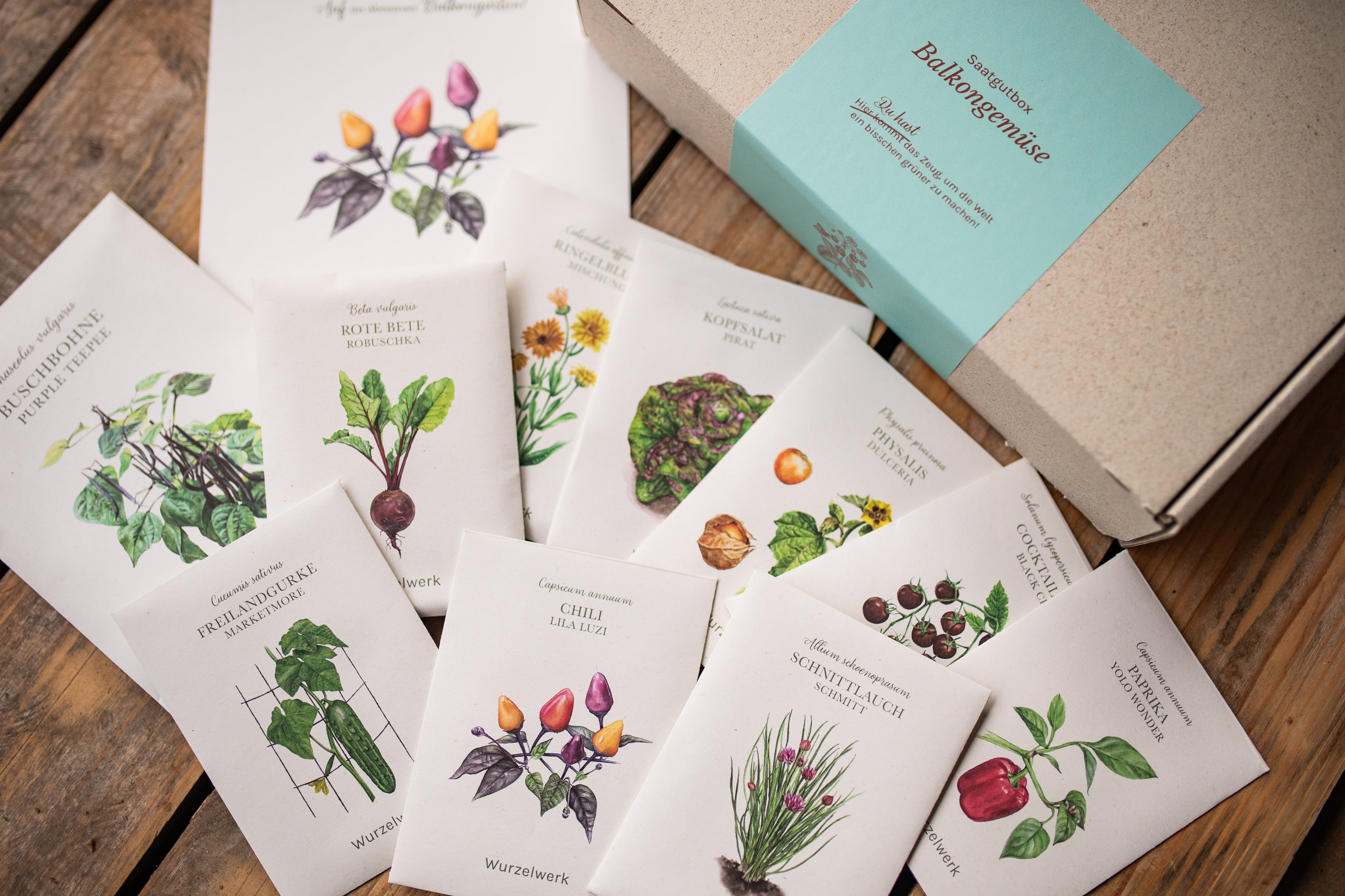 Saatgut-Box 'Balkongemüse'