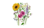 Illustration vom BlumenmischungInsektenbuffet
