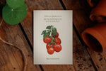 Saatguttütchen Buschtomate "Rotkäppchen"