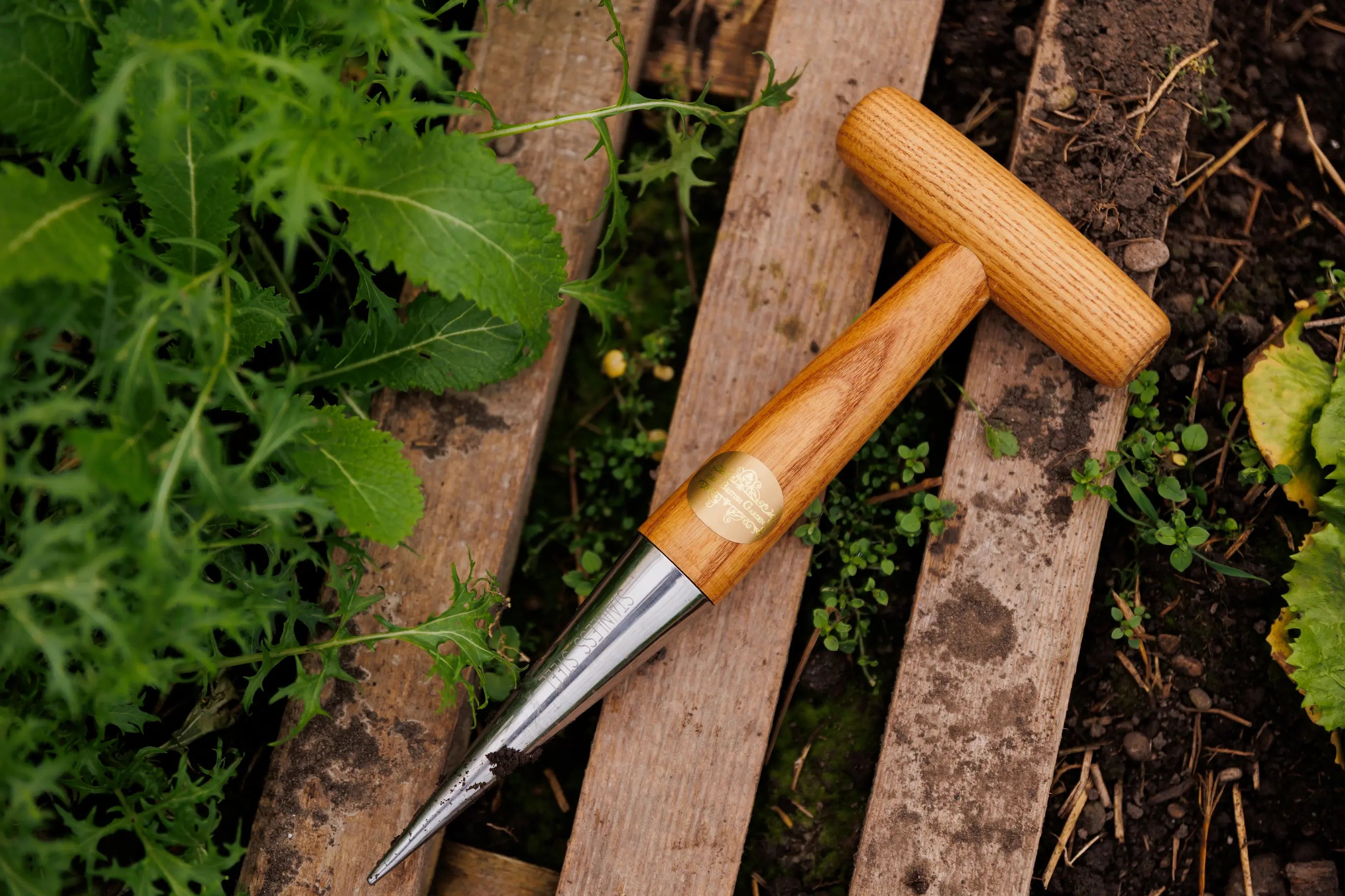 Pflanzholz mit T-Griff