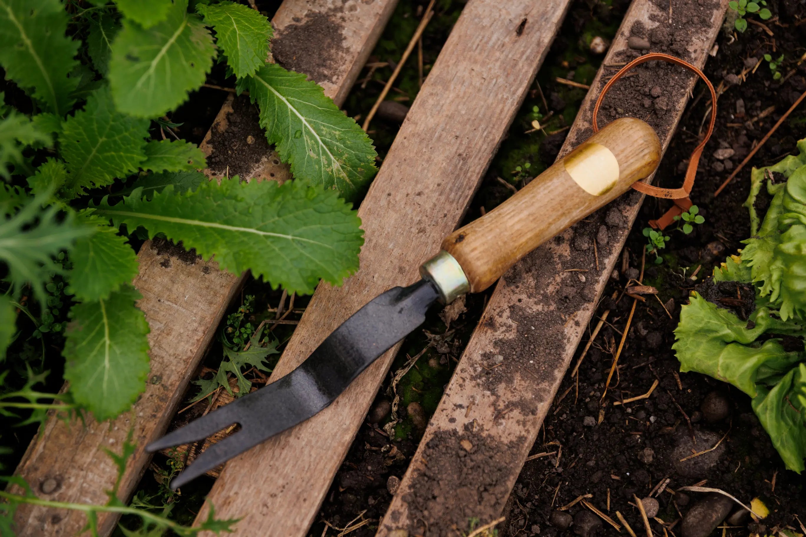 Unkrautstecher aus Karbonstahl