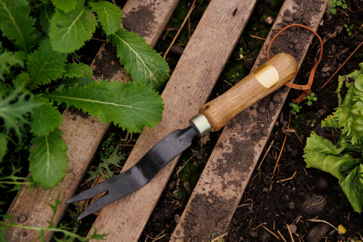 Unkrautstecher im Garten
