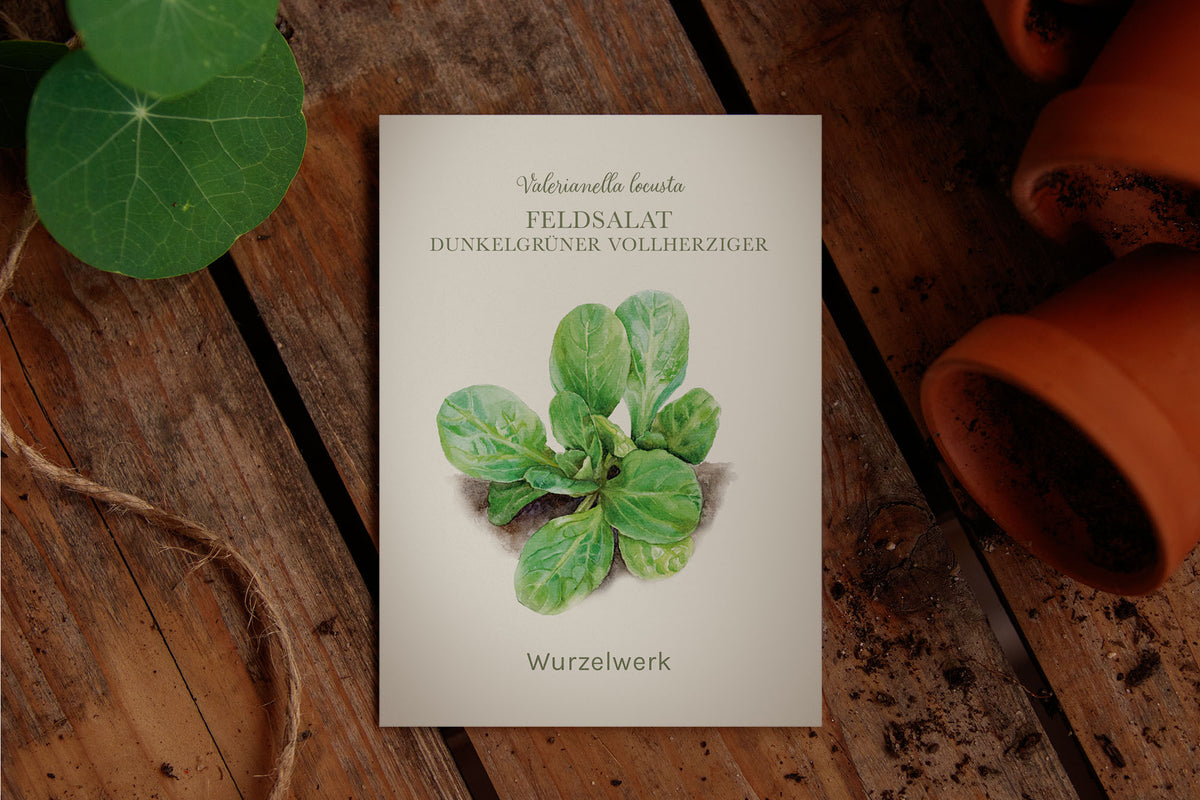 Saatguttütchen Feldsalat "Dunkelgrüner Vollherziger"