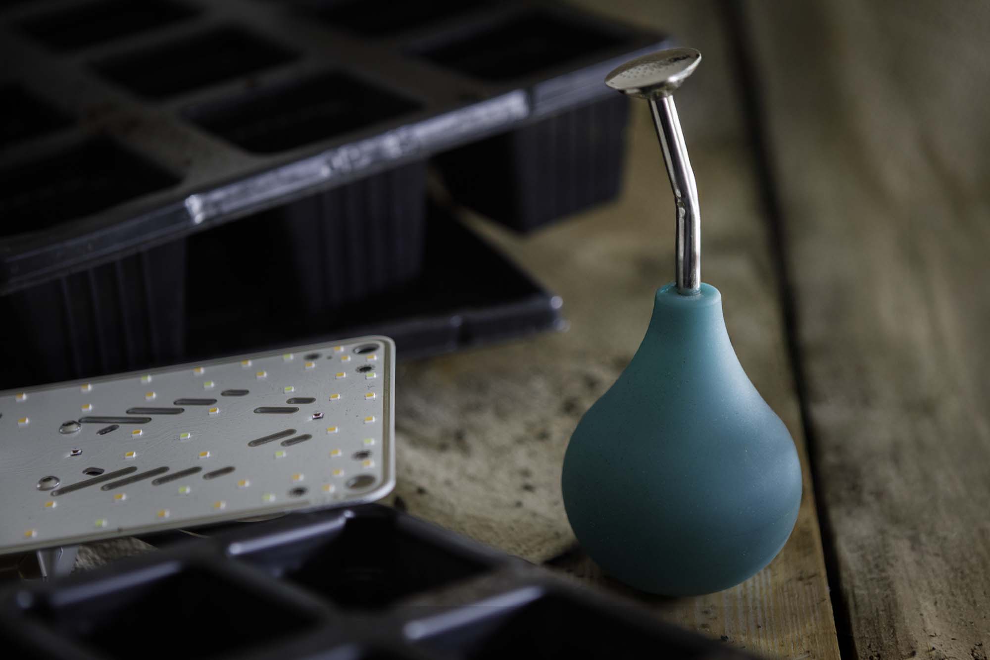 Jungpflanzen Anzucht-Set