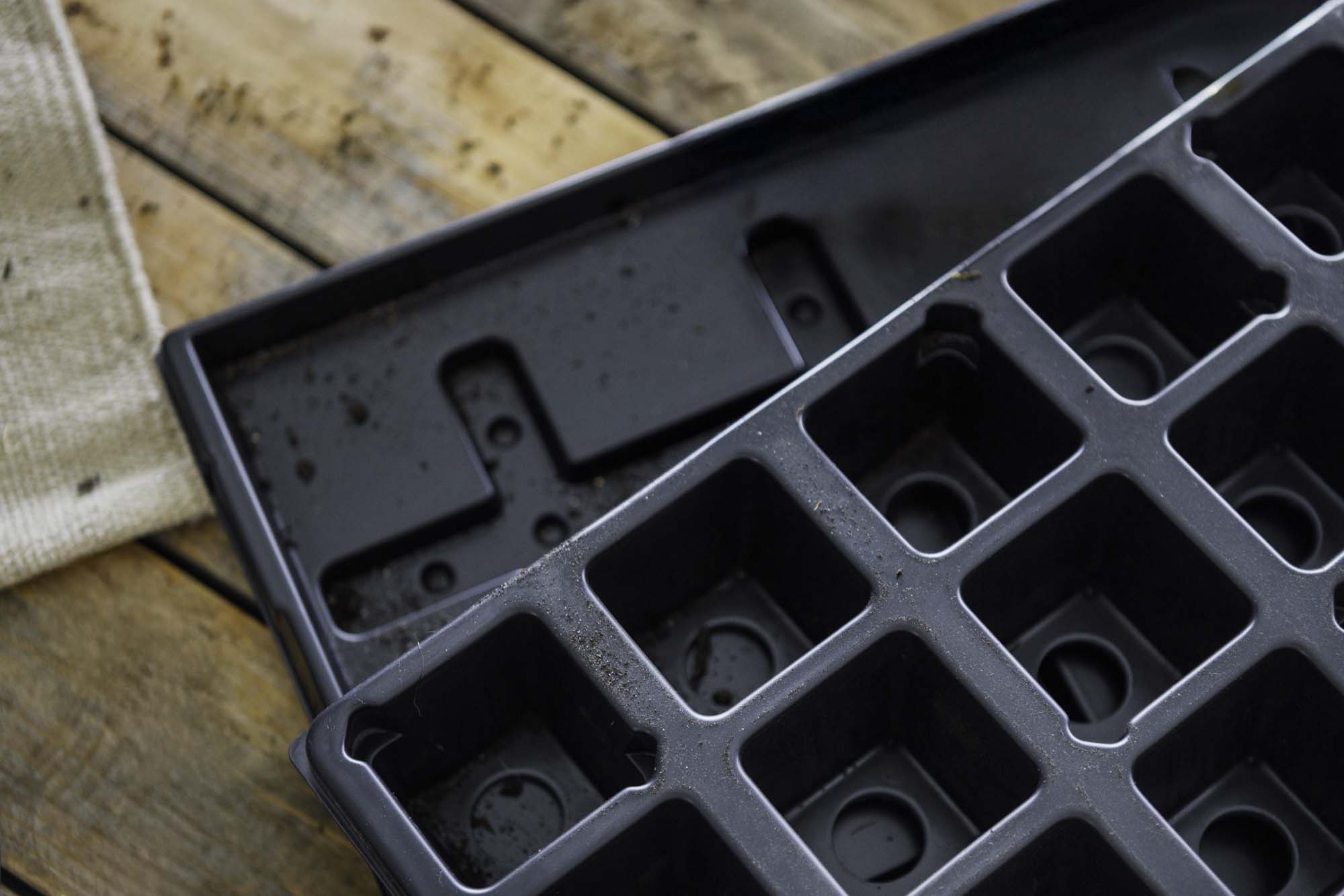 Jungpflanzen Anzucht-Set