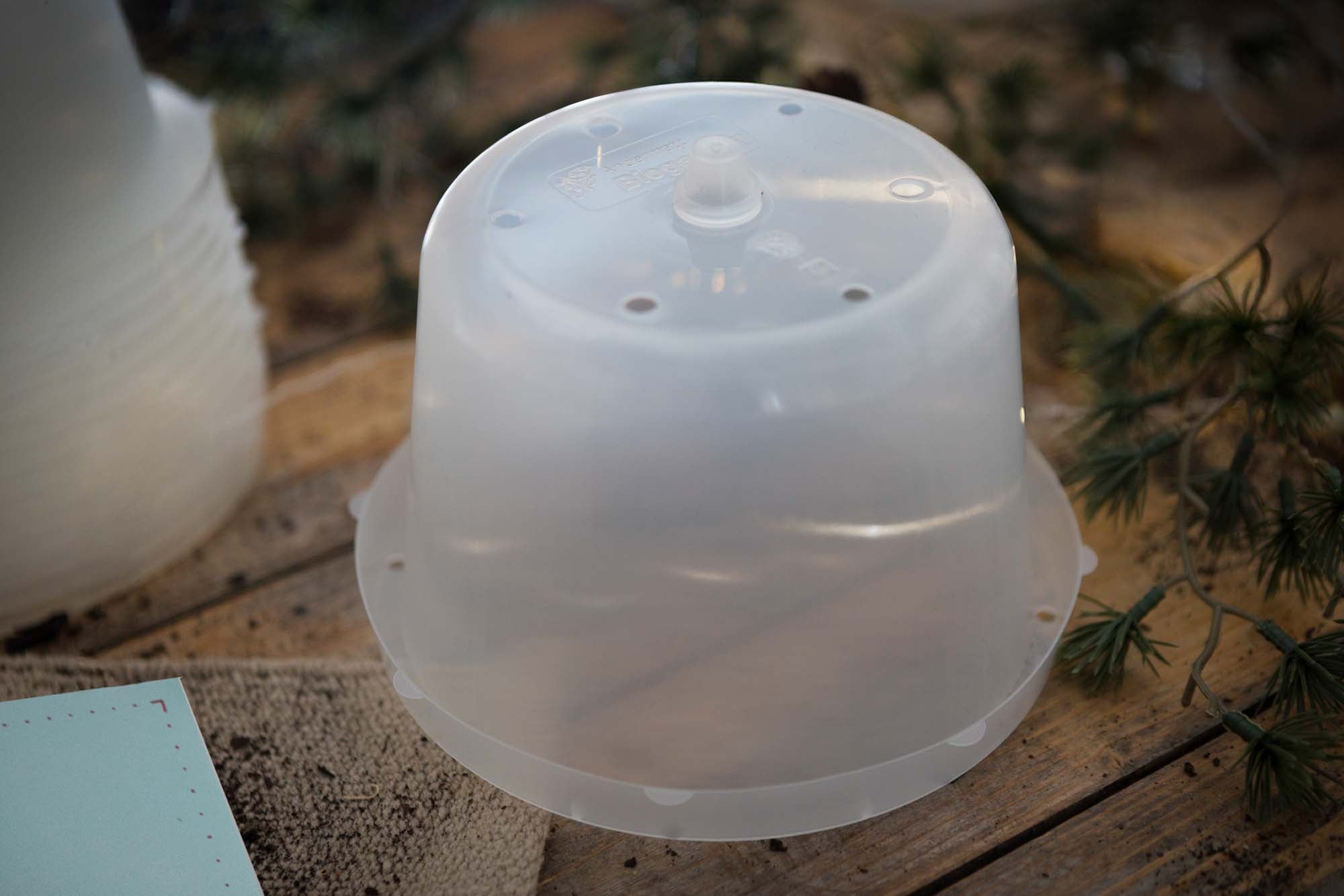 Kälteschutz-Set für Gemüsepflanzen