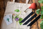 Kleines Geschenkset mit Jutebeutel, Ballbrause, Pflanzenschilder, Saatgut