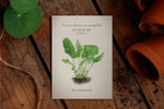 Saatguttütchen Kohlrabi "Enrico"