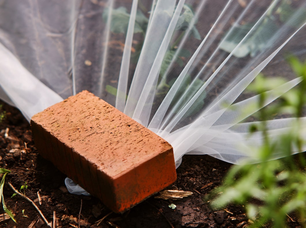Kulturschutznetz wird mit Mauerziegel befestigt
