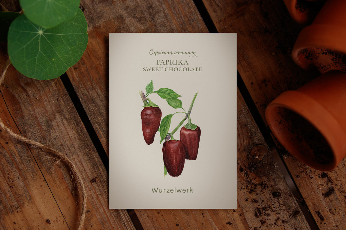 Saatguttütchen Paprika "Sweet Chocolate"