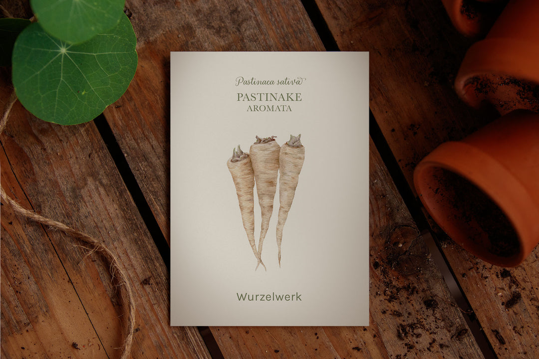 Saatguttütchen Pastinake "Aromata"