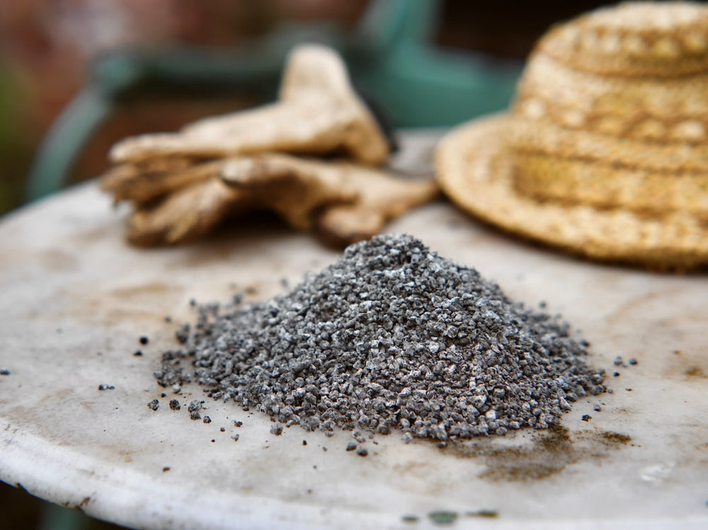 Aktivierte Pflanzenkohle