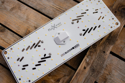 Pflanzenlampe von Wurzelwerk & CreScience